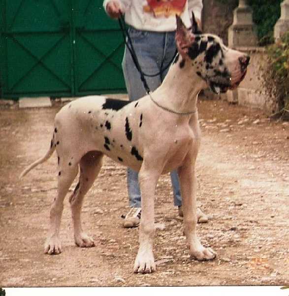 CH Naomi del Garroferal