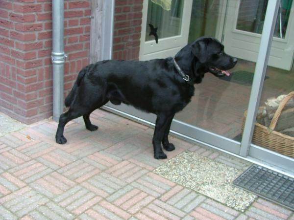 Brooks Valley`s William