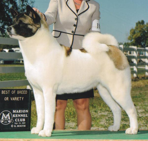 M&M's Goddess Athena