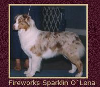 Fireworks Sparklin O'Lena