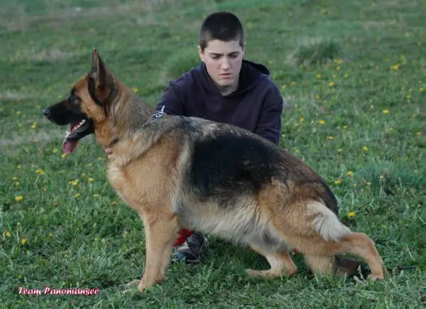 Euria von Panoniansee