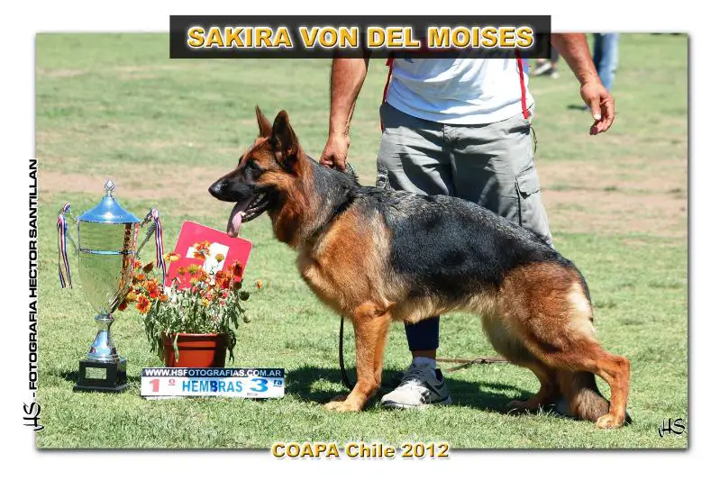 SG1 COAPA Sakira Von Del Moises