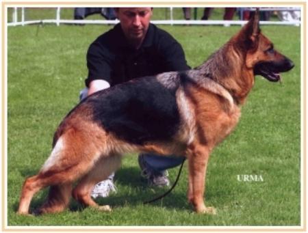 Jacky vom Quartier Latin