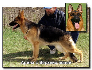 CACIB,6XCAC,2XR.CAC) Arina s Verhnih Poley