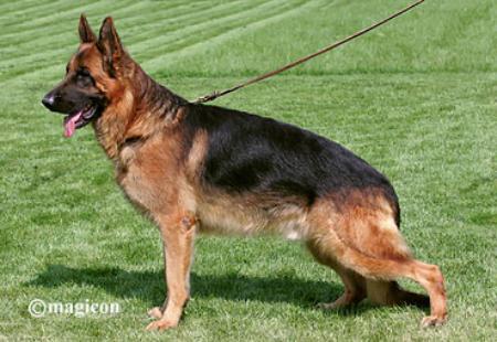 V Bill vom Funken Spiel