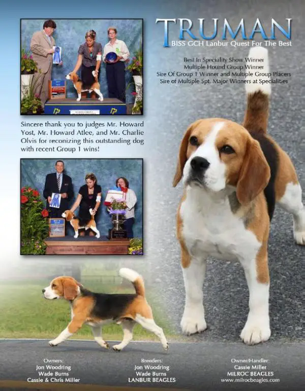 GCHB Lanbur Quest For The Best