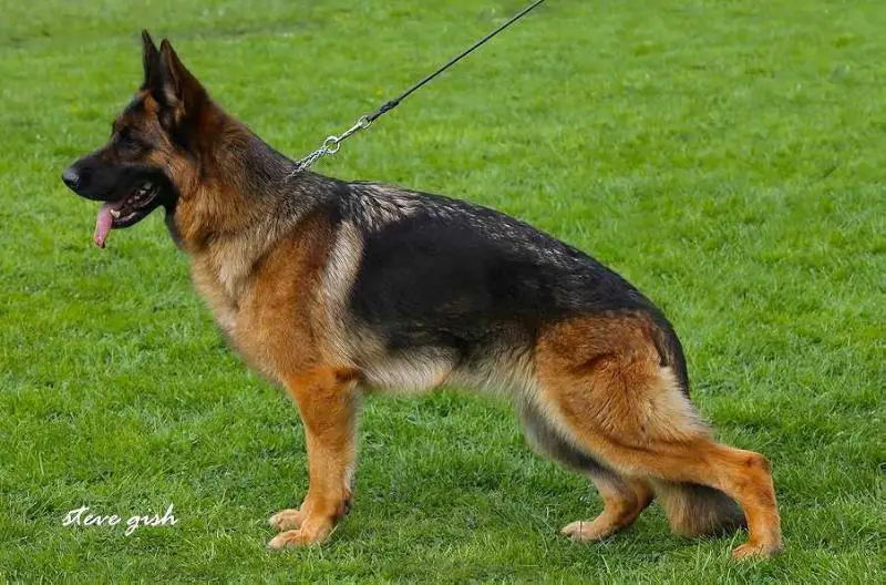 VA13 Olivia von Pallas Athene