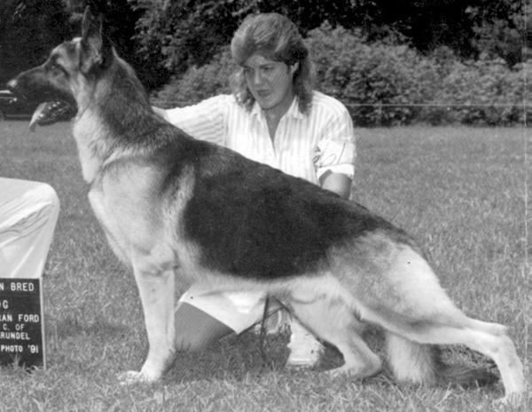 SEL CH (US) Landaleigh's High Tech