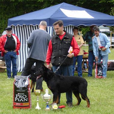 CHCS, ELITE A Seneque de la Dame de Coeur