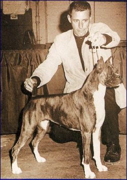 Int. Ch. Marquam Hill's Flamingo