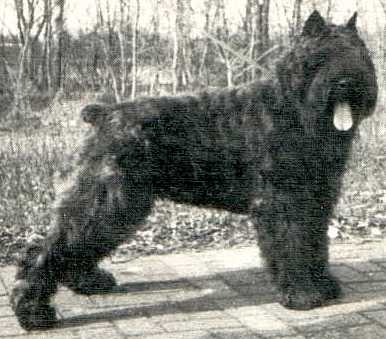 Grinya Baroeska v.h. Grendarcohof