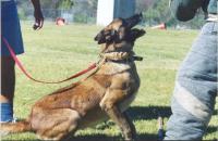 Quilly du Moulin de Tombroek
