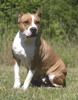 Rounder's Michelle Ma Belle