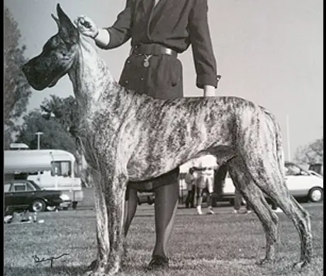 CH Chaney Brier Maserati Mistrl