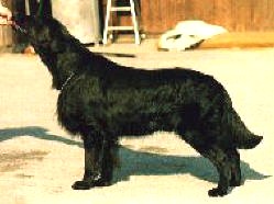 Gunhills Ear of Esophagus