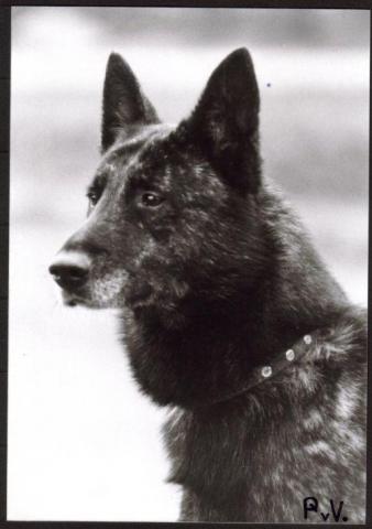 EDVAR V;'T Noorder erf