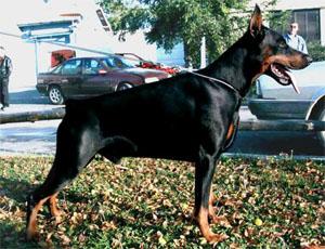 INT'L.CH Casanova di Altobello