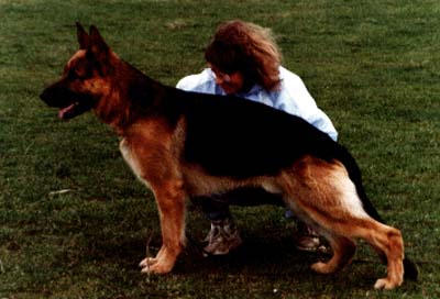 VA(JPN) Nick zur silbernen Tanne