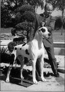 CH Indian Run's Bodacious V Myjon