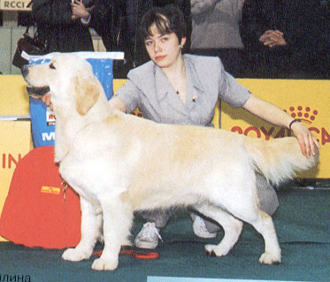 INTERCHAMPION Camilo Golden of Francos Valley