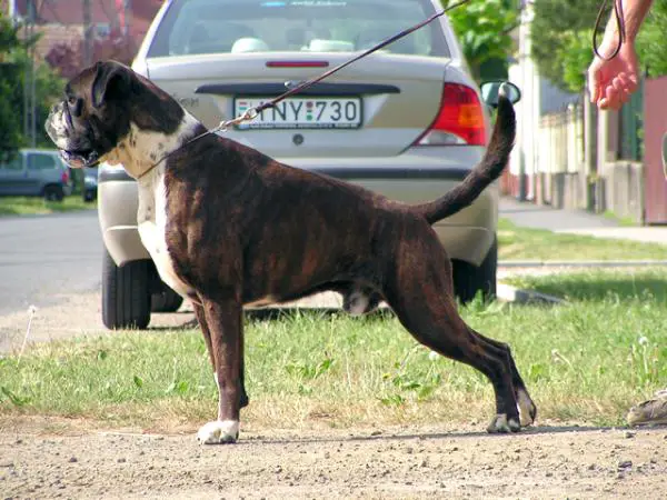 Denver von der SonnenAufgang