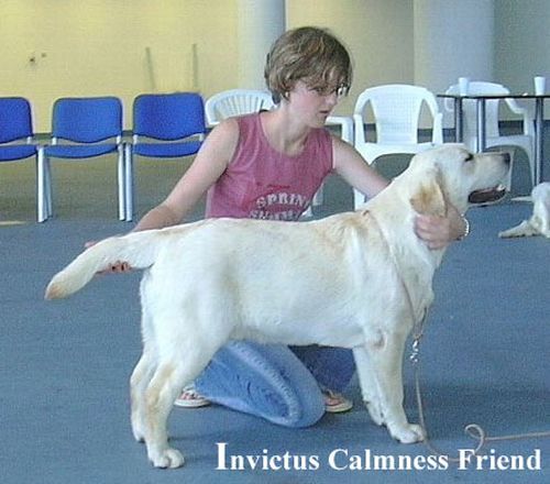 Mambrino'S Celebration