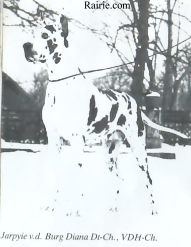 Jarpyie von der Burg Diana