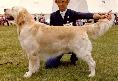 Eng CH Westley Samuel