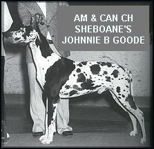 CH Sheboane's Johnnie B. Goode