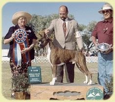 CH Storybook's Rip It Up