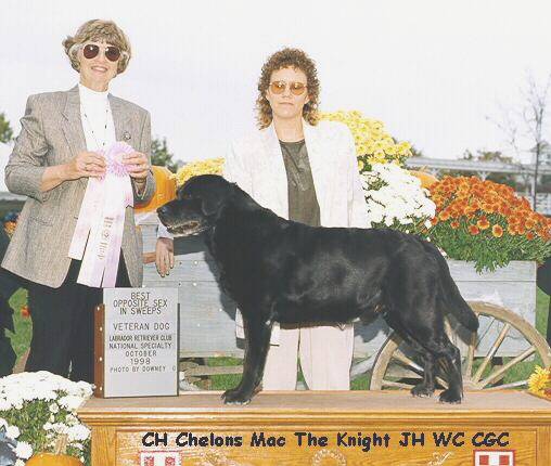 CH Chelons Mac The Knight