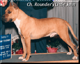 Ch. Rounder's Little John