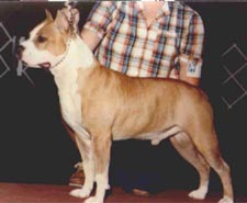 CH Tonkawa El Tigre Jose