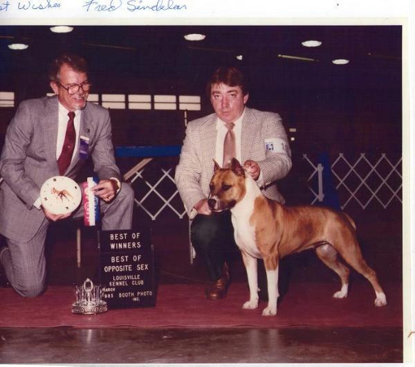 Ch. Sindelar's Miss Sparky