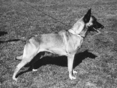 RE CH FRANCE Sandy du Mas des Lavandes