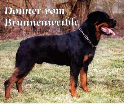 Donner vom Brunnenweible