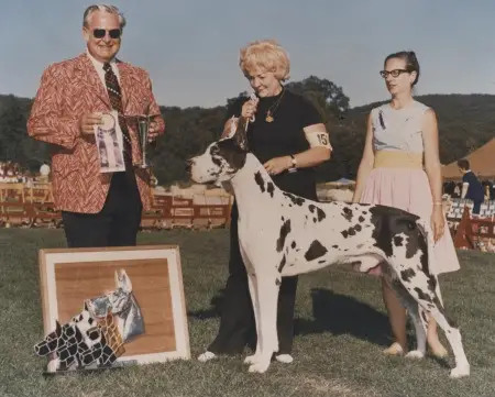 CH Dinro's Simon Templar