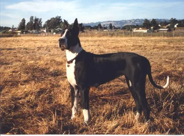 Dan-Mar's River Express