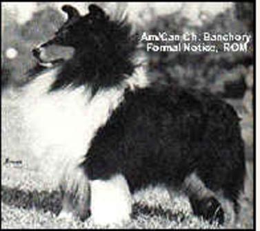 AM/CAN. CH. Banchory Formal Notice