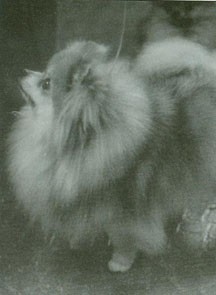 O My Starmist Minuette