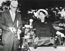 BIS AM. CH White Gables Ristocrat