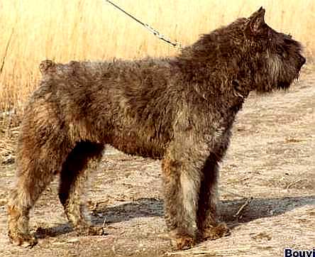 Berlinda Michelle v.d. Overstort