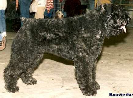 Spike off the Eurisever