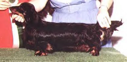 CH Barbemac's Hidden Assets ML