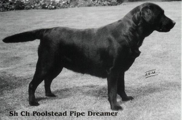 CH GB Poolstead Pipe Dreamer