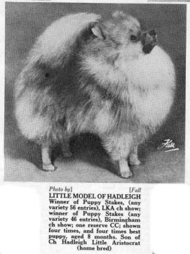 Little Model Of Hadleigh