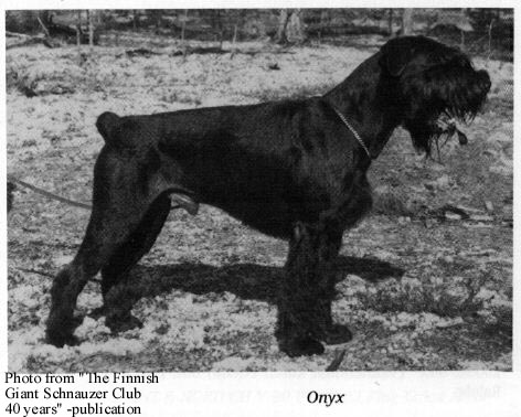 Onyx