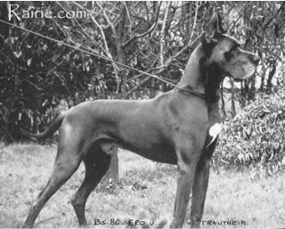 ICH,DCH,VDHCH,ACH Ero Von Trautheim