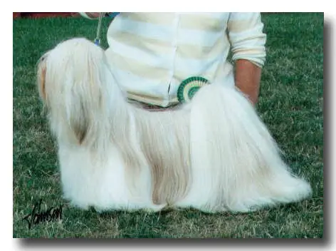 Kutani Soldier Soldier