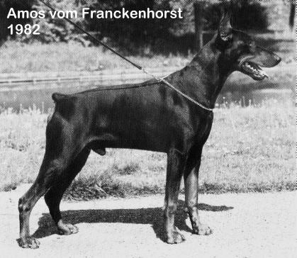 Amos V Franckenhorst